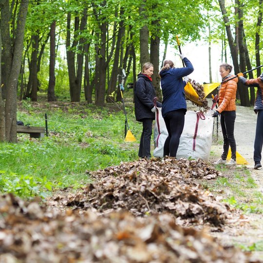 Miško take keli žmonės pila surinktus sausus lapus į didelį baltą maišą, laikydami geltonus grėblius. Priekyje matyti lapų krūva, o fone – sužaliavęs miškas ir kita talkininkė prie suolelio.