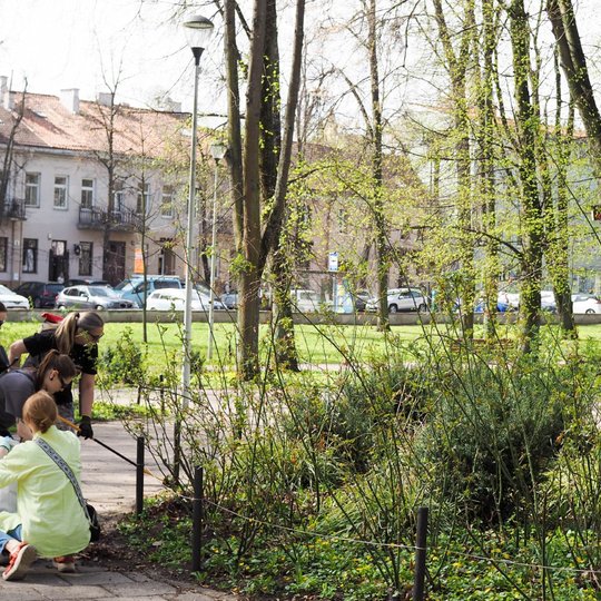 Grupė savanorių tvarko parką – renka lapus ir šiukšles, dėvi apsaugines pirštines, naudoja grėblius. Aplink žaliuojantys medžiai ir krūmai rodo pavasario sezoną.