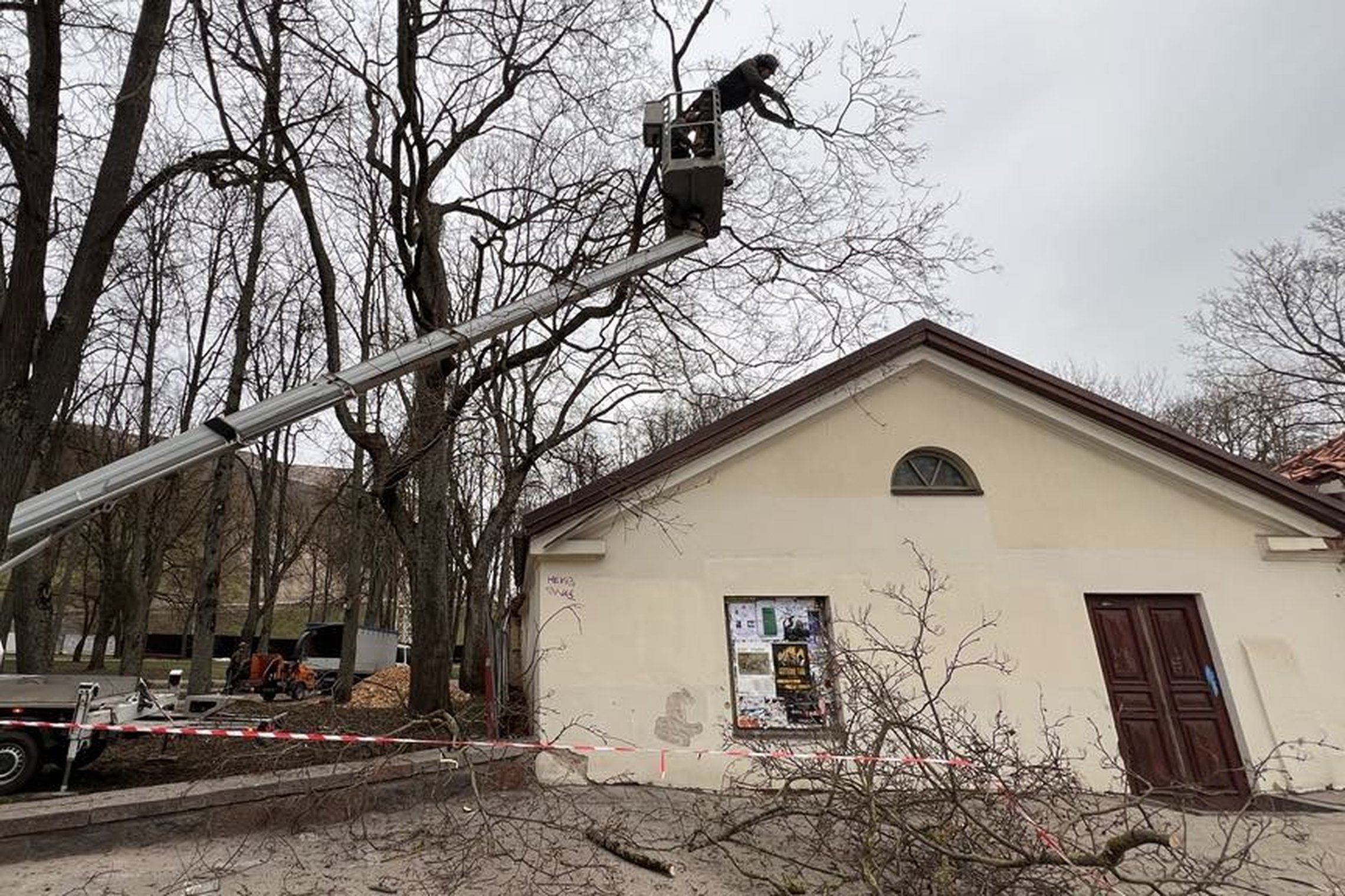 Darbininkas pakeltas keltuvu genėja medžio šakas prie pastato su šlaitiniu stogu; ant žemės matyti nupjautos šakos, o teritorija aptverta signaline juosta.