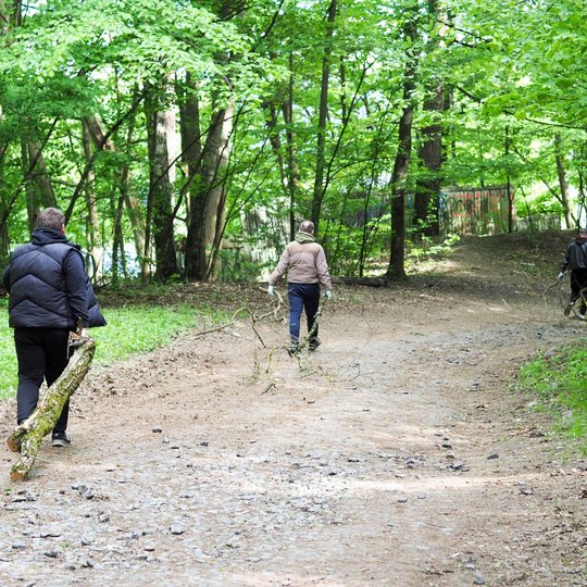 Trys žmonės eina miško keliuku, nešini šakomis. Juos supa tanki, pavasariu alsuojanti žaluma.