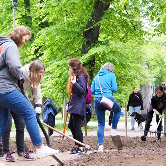 Keletas žmonių parke kasa ir lygina žemę su kastuvais bei grėbliais. Fone matyti praeiviai ir šuo tarp medžių bei šviesių pėsčiųjų takų.