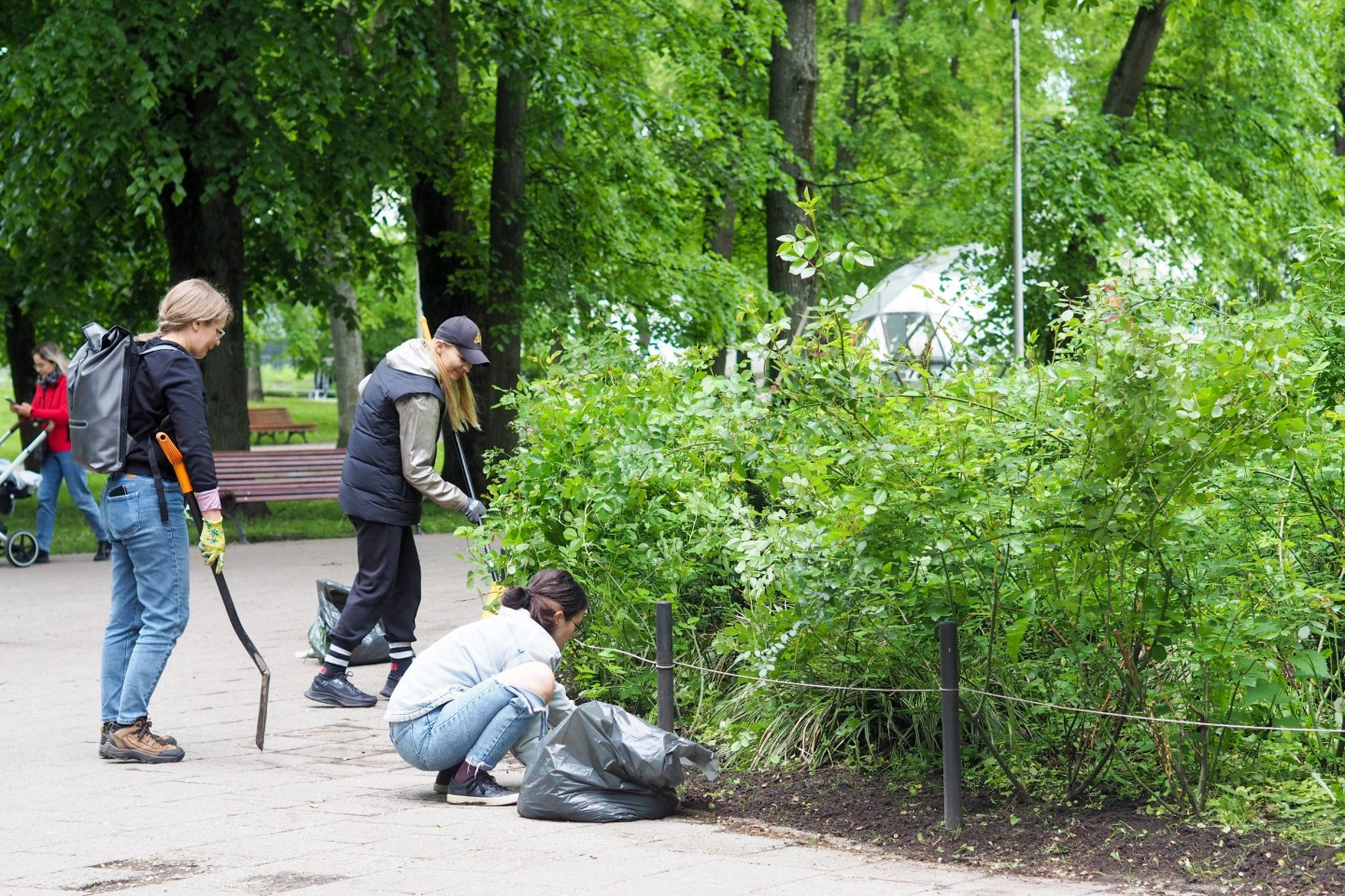 Kelios moterys valo krūmus parke, viena jų klūpo prie šiukšlių maišo. Kitos stovi su įrankiais rankose, fone matyti kupolas ir vaikščiojantys žmonės.