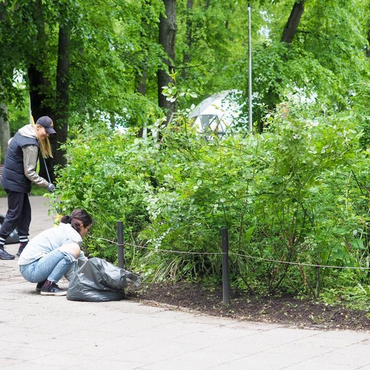 Kelios moterys valo krūmus parke, viena jų klūpo prie šiukšlių maišo. Kitos stovi su įrankiais rankose, fone matyti kupolas ir vaikščiojantys žmonės.