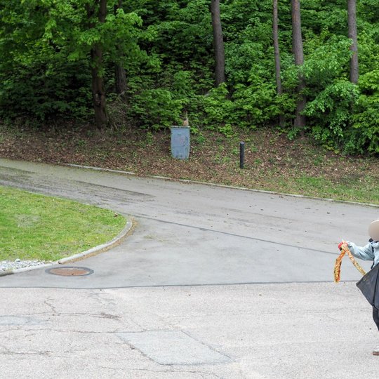 Vaikas neša šiukšlių maišą ir surastą audinio skiautę žaliame parke. Fone matyti takas, medžiai ir elektros skydinė.