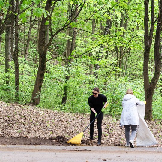 Dvi moterys miško pakraštyje šluoja lapus nuo tako ir krauna juos į baltą maišą. Aplink jas tankiai stovi medžiai, tarp kurių matyti žaluma ir saulės šviesa.