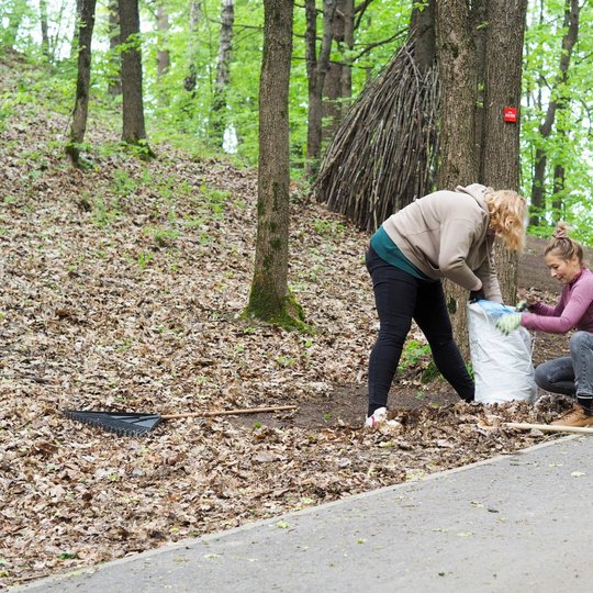 Dvi moterys krauna sausų lapų krūvą į baltą maišą šalia miško tako. Už jų stovi medžių trobelę primenantis šakų statinys.
