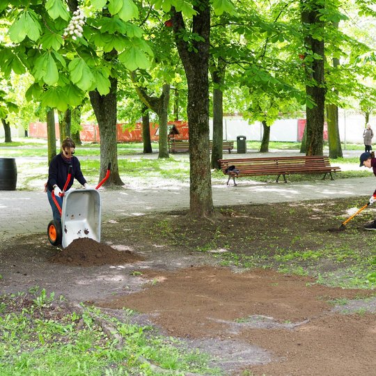 Viena moteris išverčia žemes iš karučio, kita jas išlygina grėbliu po medžiais parke. Fone matyti suoliukai, vaikštantys žmonės ir pavasarį žydintys kaštonai.
