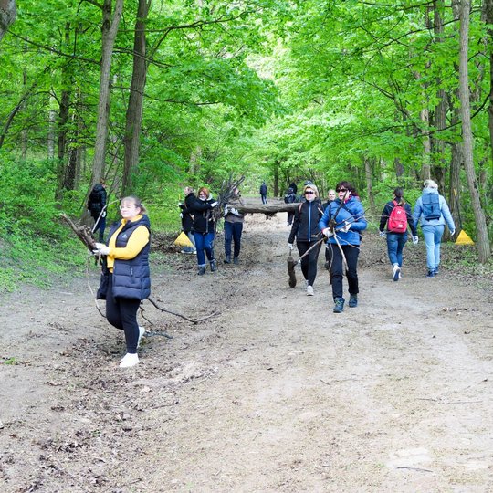Miško taku eina grupė žmonių, nešdami šakas ir storą medžio kamieną. Aplink veši žali medžiai, o žemė padengta lapais ir šakelėmis.