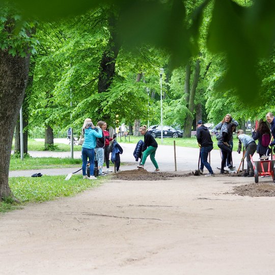 Grupė žmonių parke darbuojasi su kastuvais ir karučiu tvarkydami žemę. Kiti dalyviai stovi netoliese ir šnekučiuojasi tarp medžių paunksnėje.