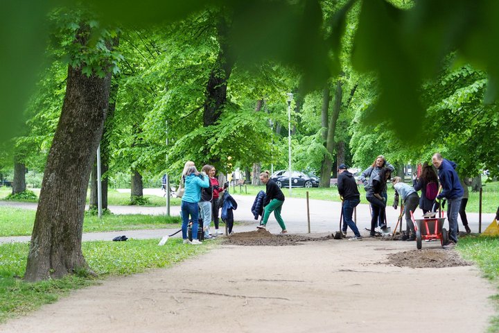 Grupė žmonių parke darbuojasi su kastuvais ir karučiu tvarkydami žemę. Kiti dalyviai stovi netoliese ir šnekučiuojasi tarp medžių paunksnėje.