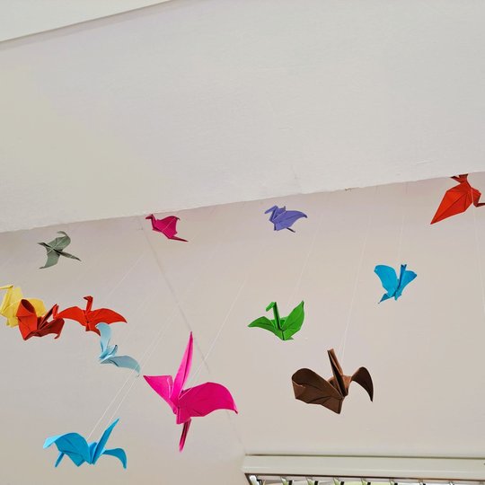 Origami paukščiai Ant lubų kabo spalvingi, iš popieriaus lankstyti paukščiai – origami technika sukurti įvairiaspalviai darbeliai suteikia erdvei žaismingumo ir kūrybiškumo. Tai puikus estetikos ir rankdarbių integracijos pavyzdys klasėje.