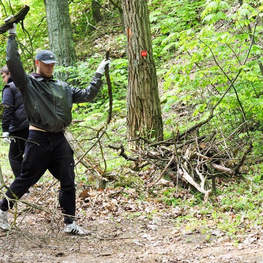 Jaunuolis miške tempia dideles šakas, vilkėdamas tamsiais sportiniais drabužiais ir pirštinėmis. Už jo stovi dar vienas žmogus, o aplink driekiasi žaluma ir medžiai.