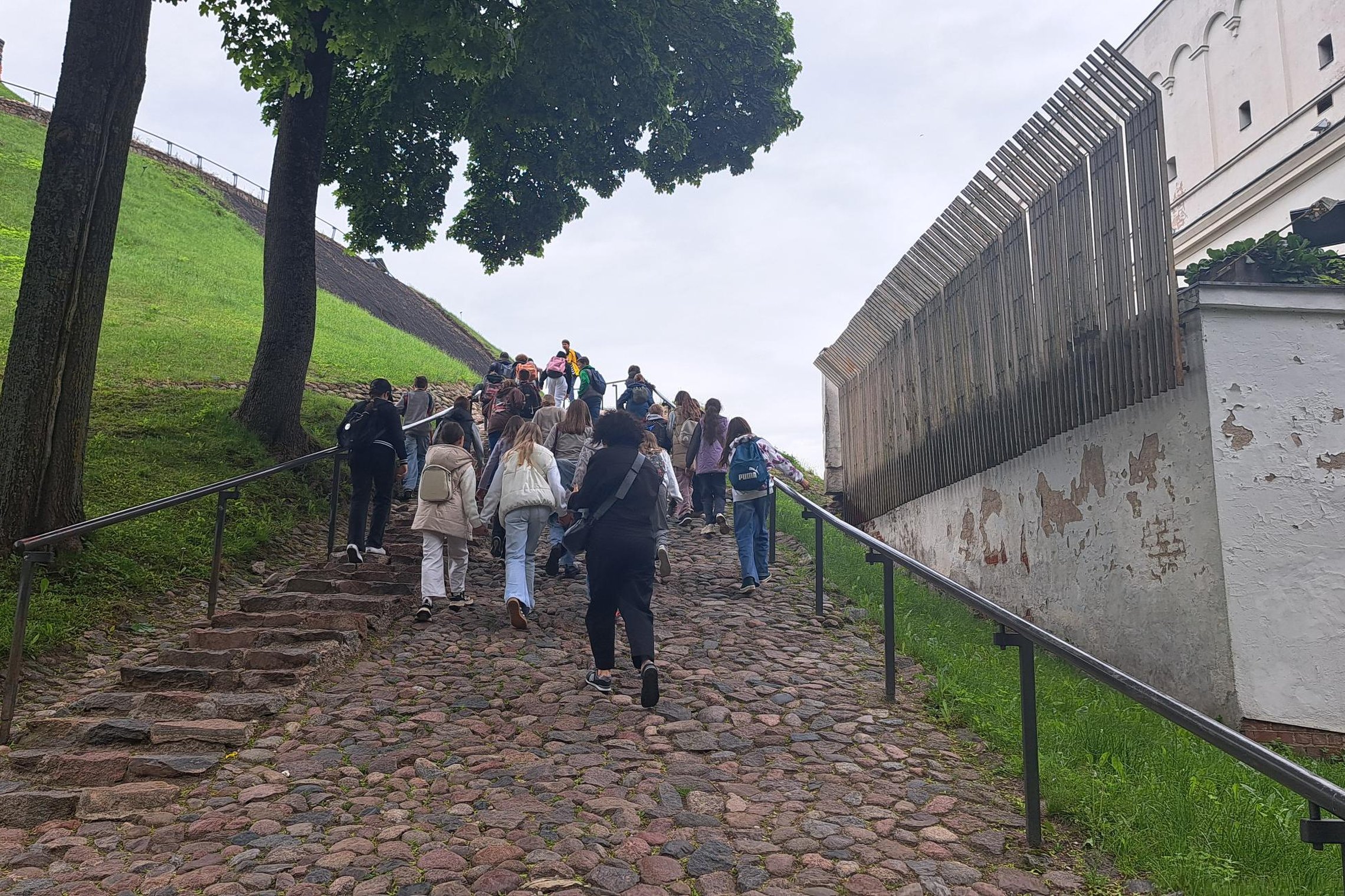 Mokiniai kyla akmeniniu taku į Gedimino kalną, lydimi mokytojų. Kairėje matyti žalias šlaitas su Gedimino bokštu, dešinėje – pilies komplekso siena.