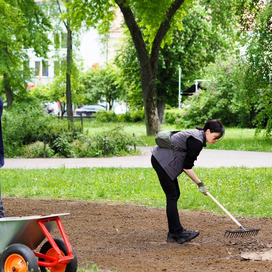 Vyras su kastuvu pila žemę iš karučio, o šalia moteris lygina paviršių grėbliu. Abu dirba žaliame parke tarp medžių.