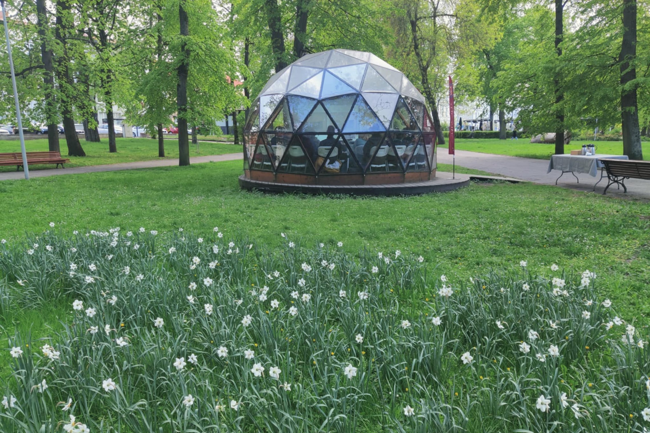 Vilniaus pilių teritorijoje, žaliuojančiame parke tarp medžių, stovi stiklinis kupolas – edukacinė erdvė, kurios viduje matyti sėdintys žmonės. Priekyje žydi baltų narcizų pieva, o tolumoje – pasivaikščiojimo takai, suoliukai ir lauko stalas su kėdėmis.