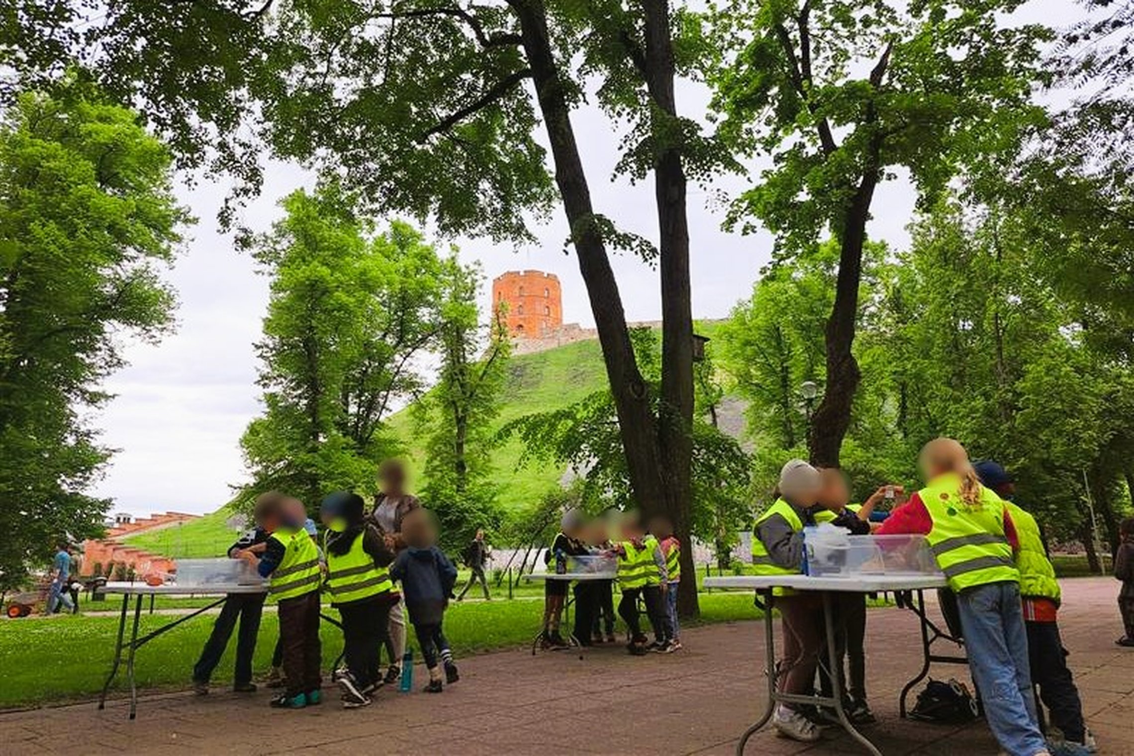 Nuotraukoje matyti grupė vaikų, vilkinčių ryškiaspalves liemenes, dalyvaujančių veiklose lauke. Vaikai susiskirstę į grupeles ir dirba prie stalų. Fone – žymus Vilniaus simbolis, Gedimino pilies bokštas, stūksantis ant kalno. Aplinka žalia, su daug medžių