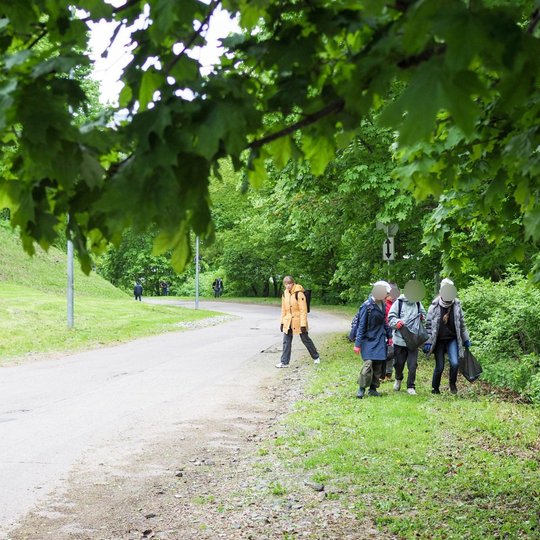 Vaikai su šiukšlių maišais rankose eina žaliu parko takeliu palei krūmus. Priekyje žengia mokytoja su geltona striuke, fone matyti daugiau dalyvių.
