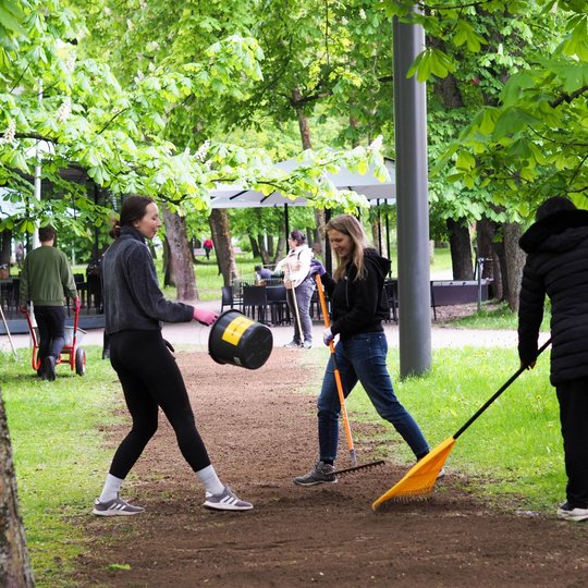 Kelios moterys parke grėbia ir barsto žemę ant tako šalia lauko kavinės. Fone matyti daugiau žmonių, dirbančių ar stovinčių prie stalų po skėčiais.