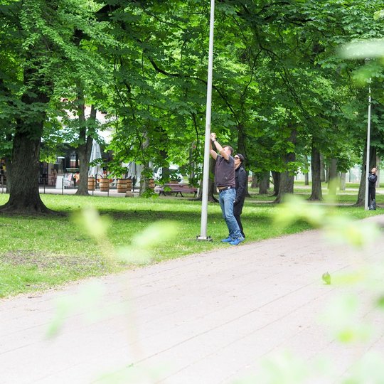 Iliustracija