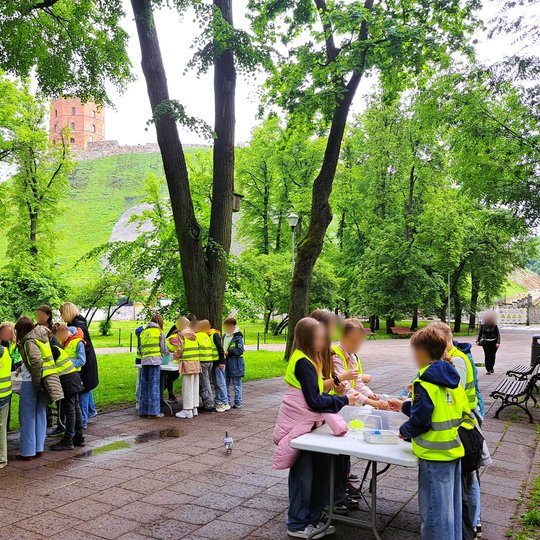 Nuotraukoje – edukacinė veikla vykstanti lauke, Vilniaus pilių teritorijoje, prie pat Gedimino pilies kalno. Vaikai, vilkintys ryškiaspalves liemenes, dirba mažomis grupelėmis prie stalų, kur atlieka kūrybinę užduotį – statyti piliakalnių modelius. Kiekvi