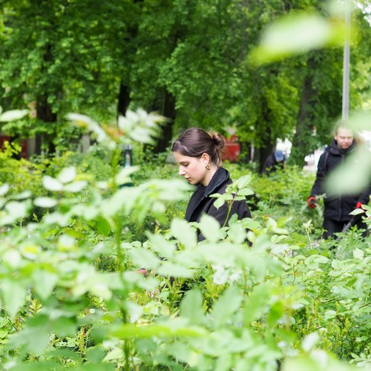 Moteris stovi tarp tankių žalių krūmų ir susikaupusi žiūri žemyn. Fone matyti dar keli žmonės, įsitraukę į veiklą parke.