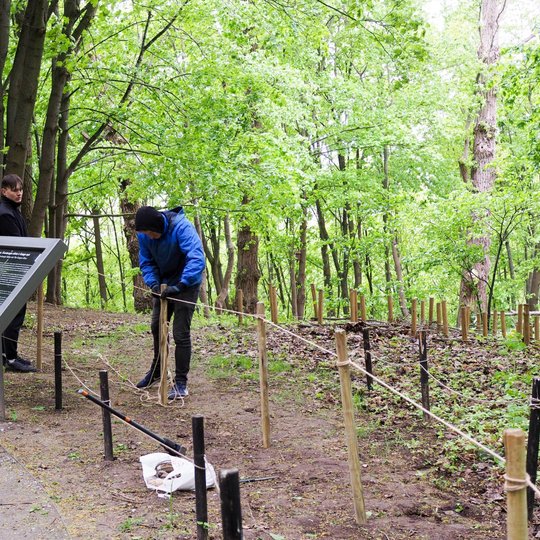 Vienas vyras tvirtina virvę prie medinių kuoliukų, o kitas stovi šalia informacinio stendo ir stebi procesą. Aplinkui matyti tvarkomas miško plotas su tankiais medžiais ir sodria žaluma.