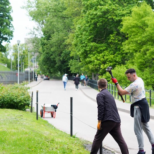Vyras su kūju kala kuoliuką į žemę šalia kelio, šalia stovi kitas vyras. Fone matyti praeiviai, vešlus parkas ir raudonas karutis.