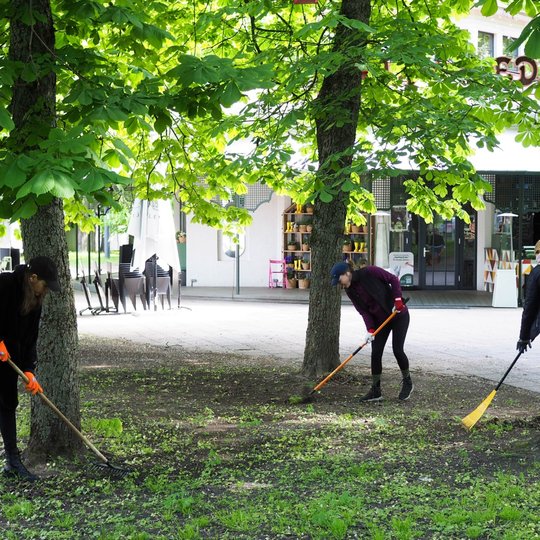 Trys moterys grėbia žemę po medžiais šalia miesto kavinės pastato. Aplinkui matyti sulankstyti lauko baldai ir vešli žaluma.