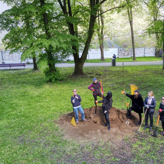 Grupė žmonių stovi aplink ką tik iškastą duobę parke ir laiko kastuvus bei grėblius. Aplink juos žaliuoja medžiai, o fone matyti takas ir akmeninė tvora.