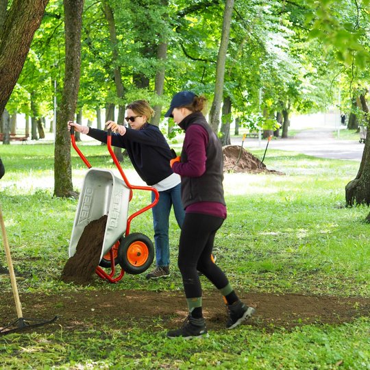 Moteris išverčia žemes iš karučio, o kitos talkininkės ruošia jas paskirstyti grėbliais. Aplinkui stovi medžiai, o tolumoje matyti dar viena žemių krūva su įkištais įrankiais.