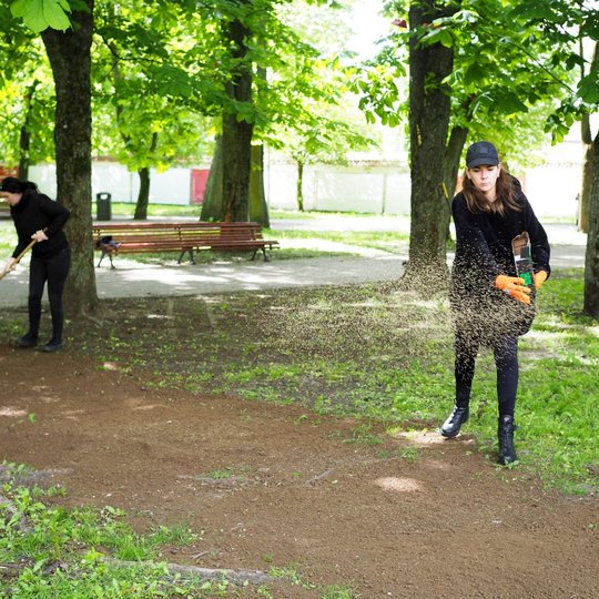 Moteris parke rankomis beria žolės sėklas ant išlygintos žemės, o šalia kita moteris grėbia plotą po medžiais. Fone matyti suoliukai, vaikščiojantys žmonės ir tanki žaluma.