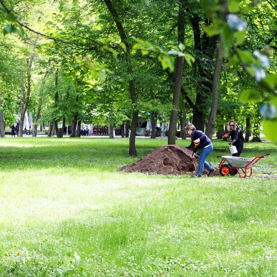 Dvi moterys parke kasa žemę šalia didelio žemių krūvos ir vežimėlio. Aplink žaliuoja medžiai, o fone matyti žmonės ir lauko kavinės pavėsinės.