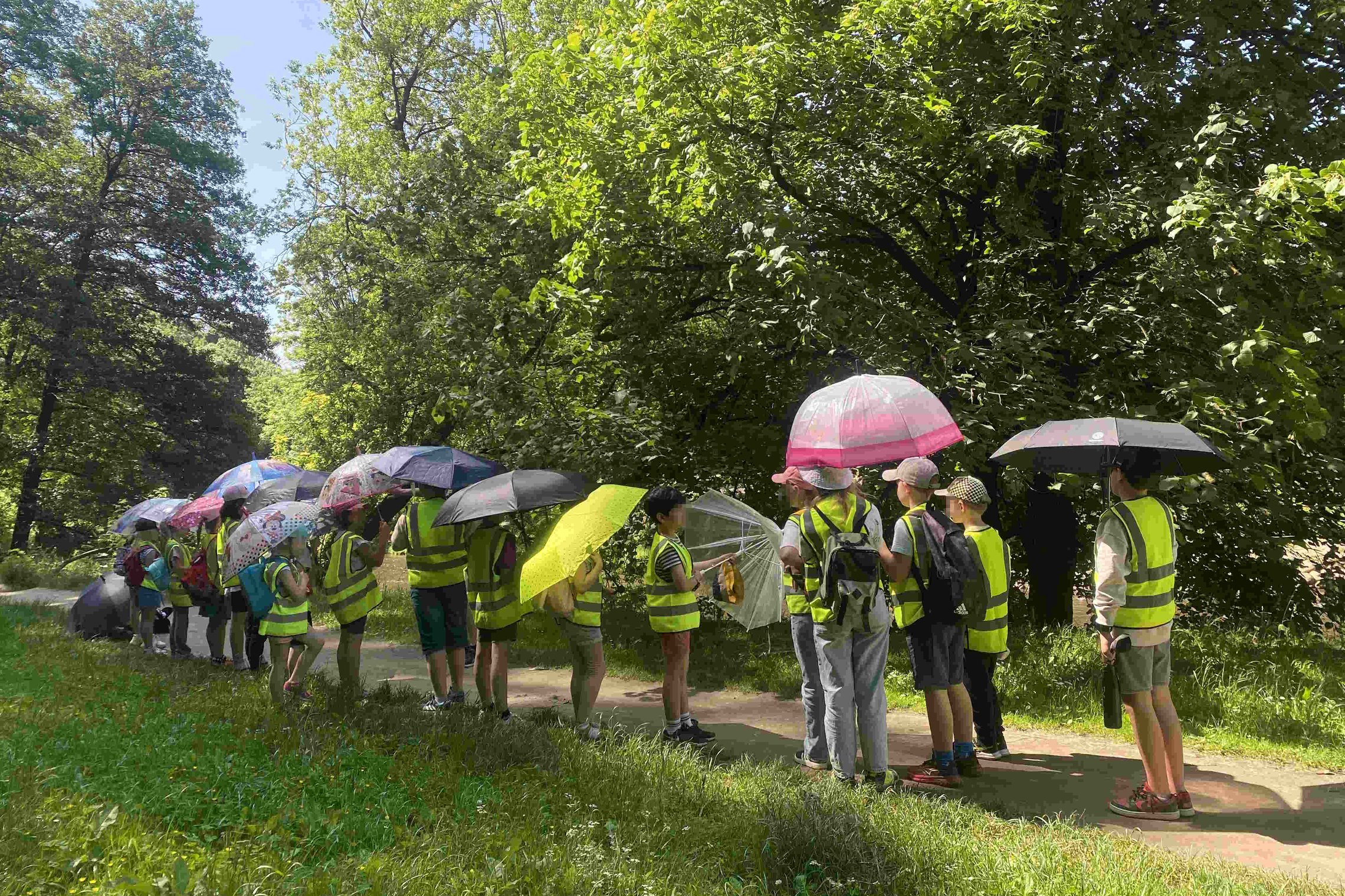 Vaikai su atšvaitinėmis liemenėmis stovi gamtoje, ant tako tarp medžių, laikydami įvairiaspalvius skėčius saulėtą dieną.