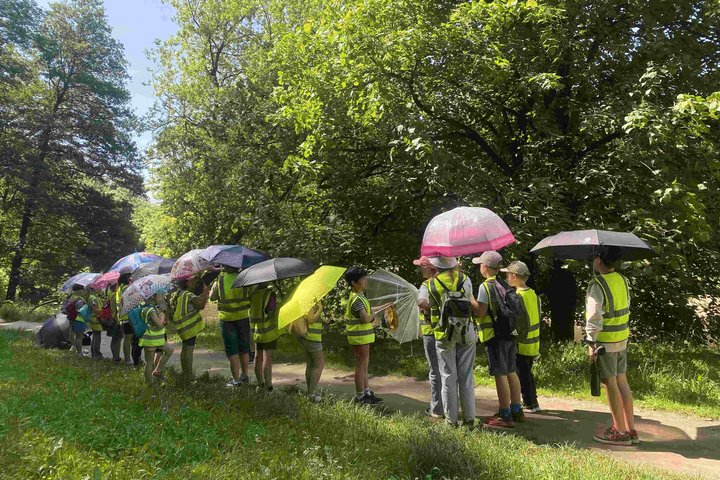 Vaikai su atšvaitinėmis liemenėmis stovi gamtoje, ant tako tarp medžių, laikydami įvairiaspalvius skėčius saulėtą dieną.