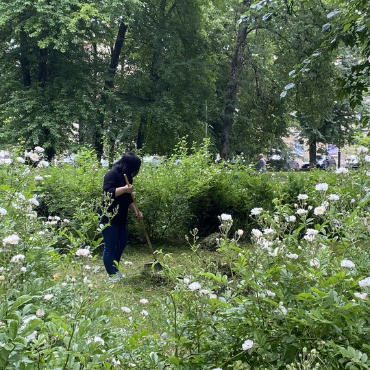 Iliustracija