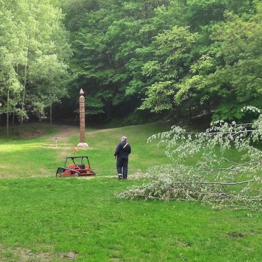 Labai šviežia vejos žolė - atliekama pirmoji pavasario šienapjūtė. Nuotraukoje žolę pjauna žolės robotas, kuris valdomas yra darbininko.