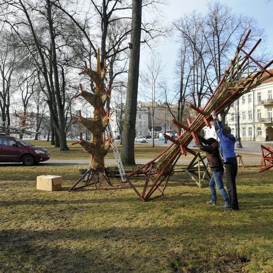 Mindaugo paminklo skvere dar neatsigavusi po žiemos veja. Ant vejos keli žmonės stato milžinišką verbą. Verbų skulptūros šiemet pasirinktos kaip Pavasario lygiadienį įprasminantis bei gyvybės medį atspindintis simbolis.