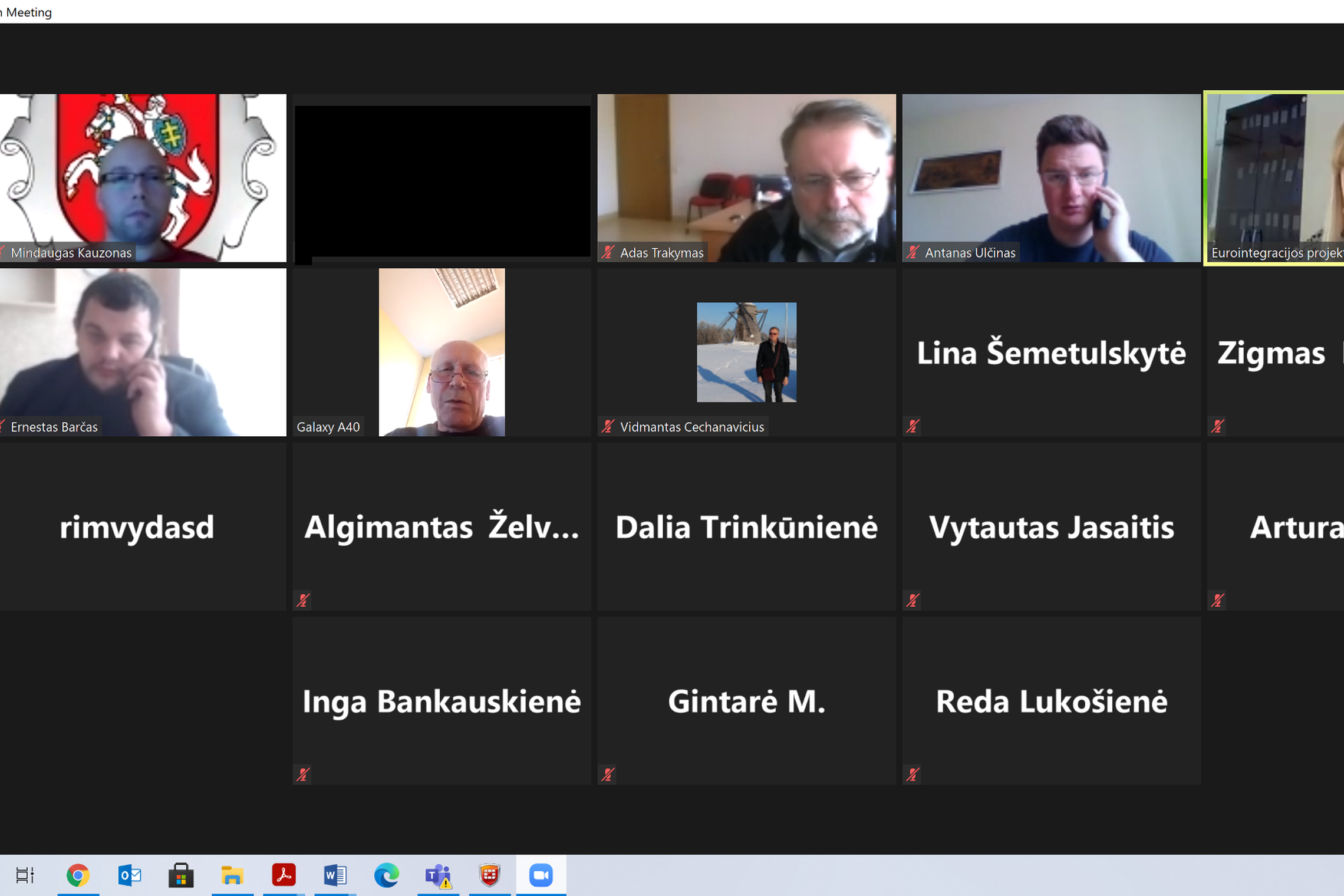 Vyksta nuotolinis seminaras apie savanorystę. Nuotraukoje kompiuterio ekranas, kuriame seminaro dalyvių pavardės ir veidai.