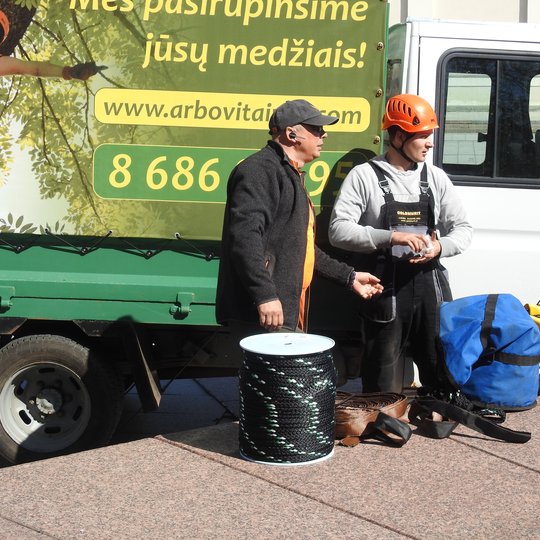 Stovi du arboristai - medžių specialistai. Išsidėlioję savo įrankius, virvių rulonus. Už jų yra dengta nedidelė krovininė mašina. SU užrašu MES PASIRŪPINSIME JŪSŲ MEDŽIAIS.