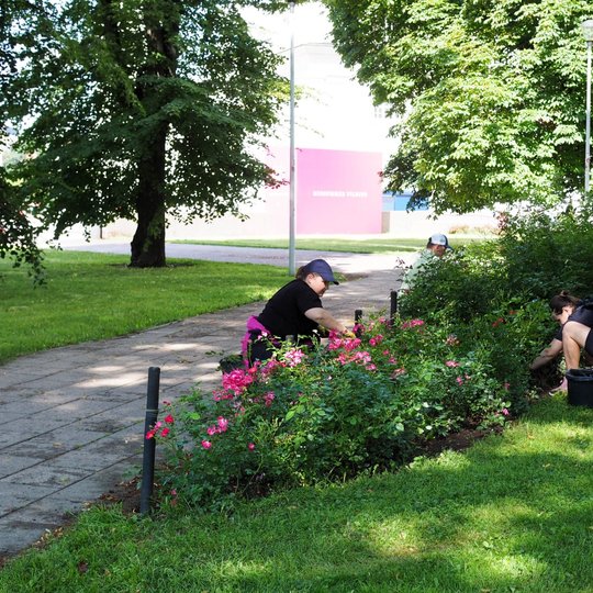 Savanoriai tvarko Sereikiškių parko vakarinėje dalyje esantį gėlyną: ravimos piktžolės, renkami nukritę lapai bei žiedlapiai.