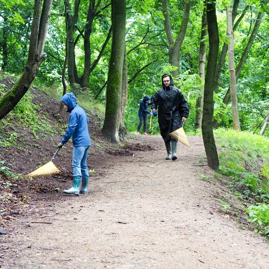Savanoriai valo taką Gedimino kapo kalno papėdėje esantį taką – grėbiami lapai, renkamos nukritusios šakos