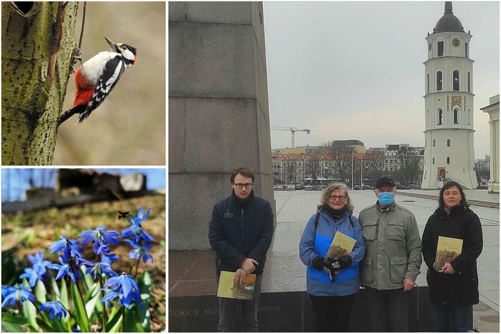 Paukščių stebėjimo ekskursijos nedidelė grupė šalia Gedimino paminklo. Ankstus ir vėsus pavasario rytas. Žmonės su stiukėmis, nesimato saulės.