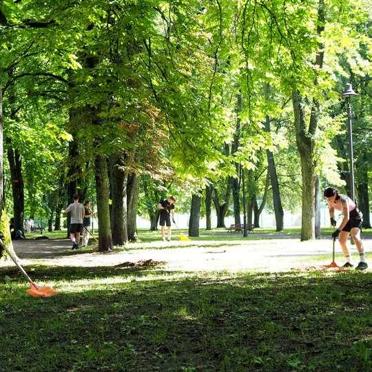 Prie Rotondos kavinės esančioje vejoje savanoriai grėbia nukritusius medžių lapus, smulkias šakas.