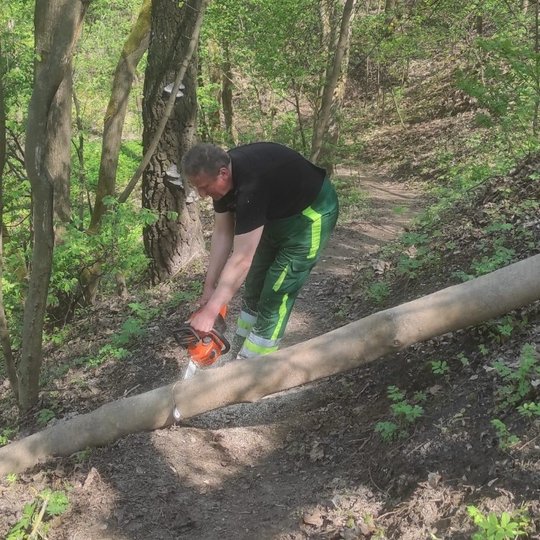 Yra tvarkomos pavasarinės žiemos išdaigas, kai šių metų balandžio 24-25 d., snigant ir esant stipriam vėjui (galima pavadinti net pūga), virto medžiai Vilniaus pilių teritorijoje. Vienas iš medžių stipraus vėjo neatlaikė ties paminklu K. Bekešui, kitas -