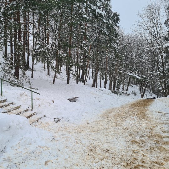 Nuotraukoje žiema. Dešinėje pusėje yra takas, vedantis žemyn į apačią. Takas yra apsnigtas ir pabarstytas smėliu. Nuotraukos centre apsnigti medžiai. Jie auga ant kalvos. Kairėje pusėje smėliu apibartyti laiptai, kurie veda į viršų. Laiptų turėklai yra ža