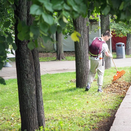 Prie Kirdiejų rūmų vakarinio fasado ir Barboros Radvilaitės gatvės savanoris grėbia nukritusius medžių lapus.