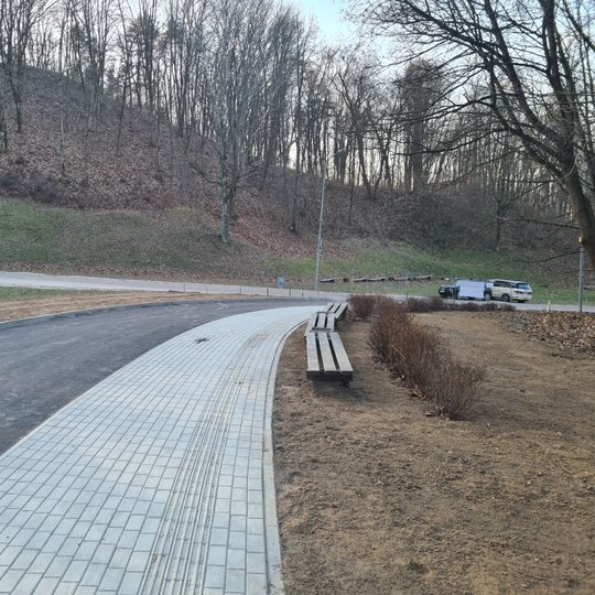 Nuotraukoje sutvarkytas šaligatvis. Jis naujas, šalia pastatyti suolai. Dešinėje auga krūmai.