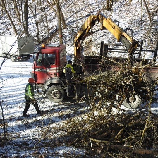 Kalnų parke šalinomos snieglaužos ir vėjovartos, keliančios pavojų lankytojams.