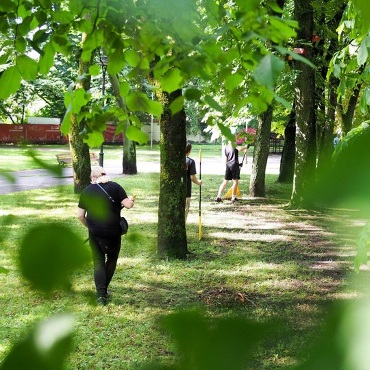 Sereikiškių parke savanoriai grėbia po praūžusios liūties vejoje susikaupusius medžių lapus, liepų žiedlapius bei nukritusias smulkias medžių šakas.