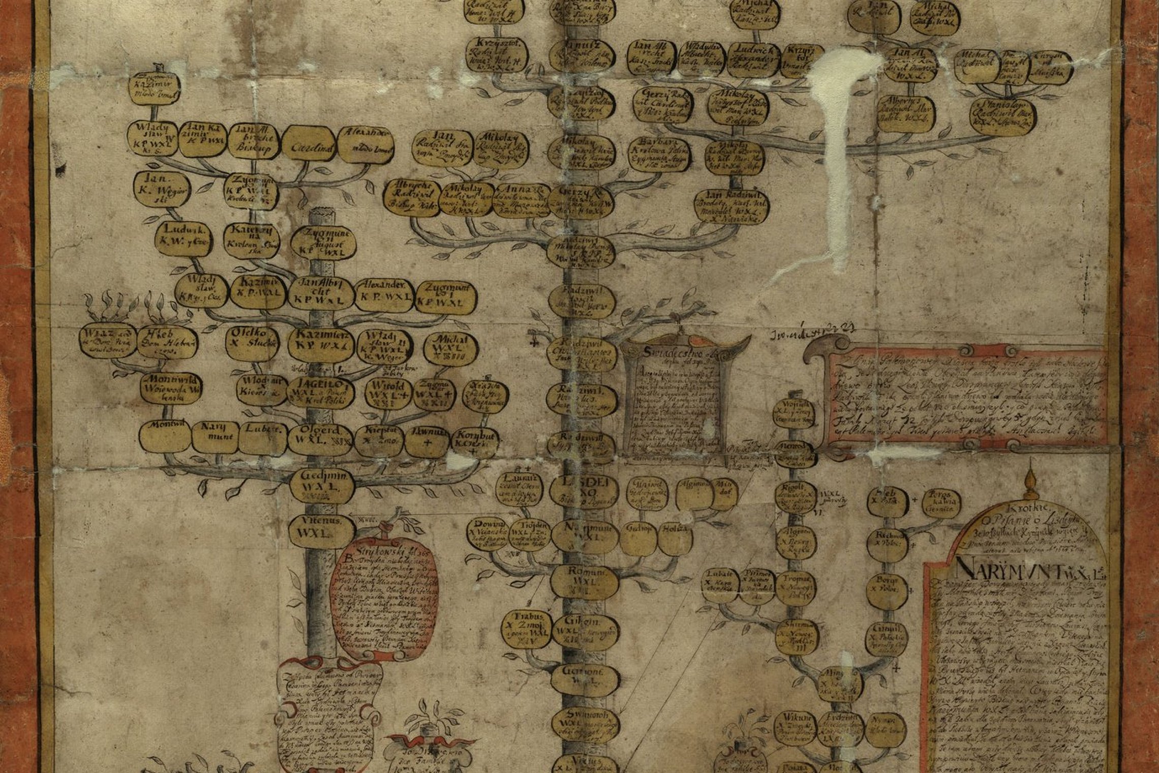 1666 metais padarytas Radvilų giminės genealoginis medis. Su legendine dalimi medis apima 21 kartą. Saugomas Lietuvos valstybės istorijos archyve Vilniuje.